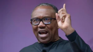 Former Anambra State Governor and the Presidential candidate of National Democratic Congress NDC-Peter Obi