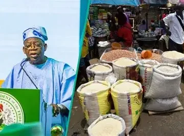Illustrative Picture of President Bola Tinubu and the Economy