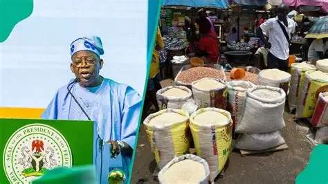 Illustrative Picture of President Bola Tinubu and the Economy